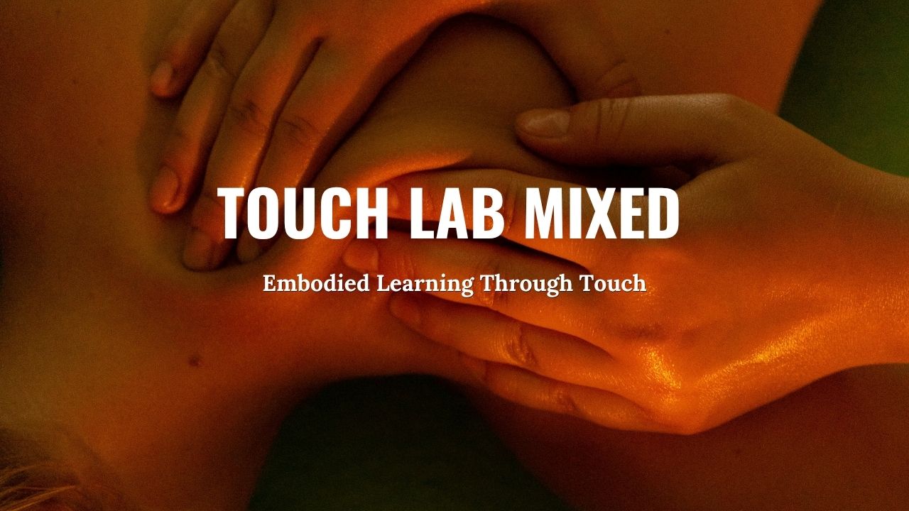 Touch Lab Mixed - Living Touch